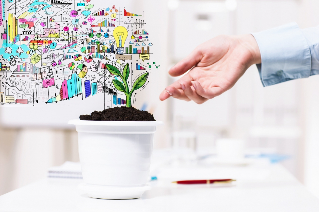 leaf start up business