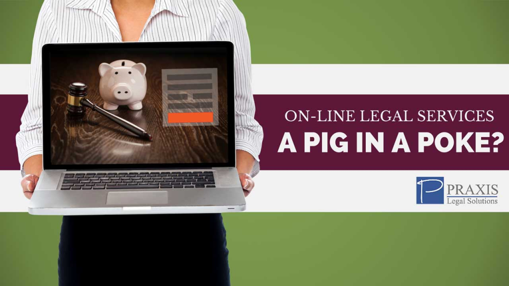 A Pig in a Poke - Praxis Legal Solutions